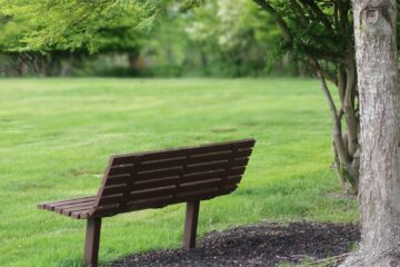 brown wooden bench on green grass field during daytime